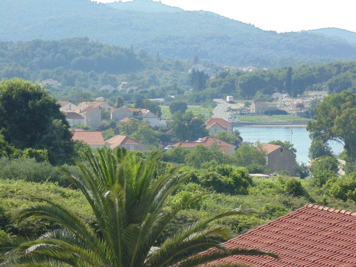 Stone House Apartments Didini Dvori Lumbarda Exterior foto